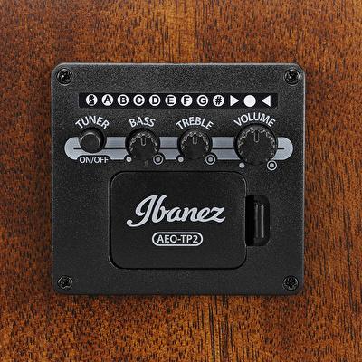 Ibanez AE100-BUF Elektro Akustik Gitar